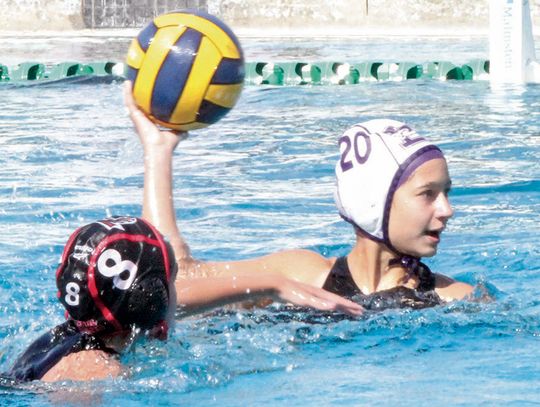 Greyhound water polo teams take on Stevens, Sotomayor