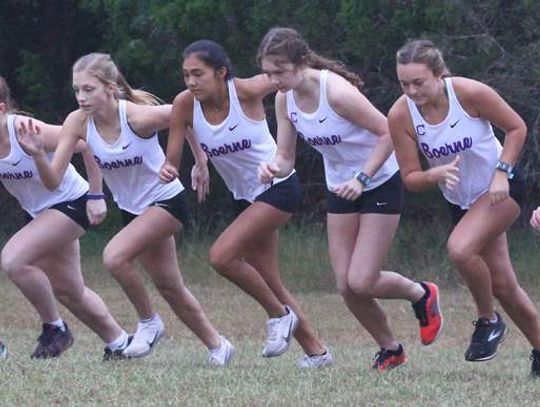 Greyhounds race at FEAST XC Invitational