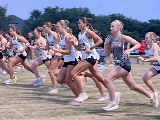 Greyhounds race at Hays CISD XC Invitational