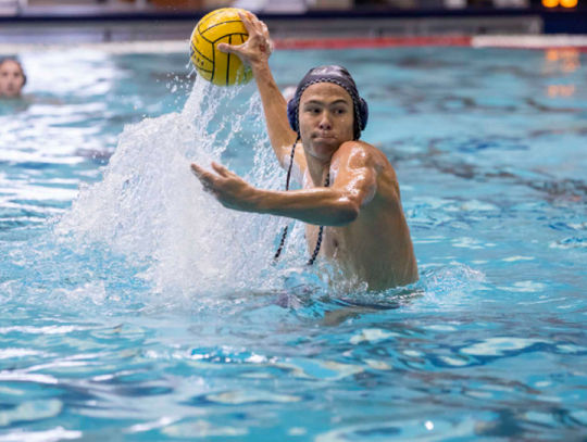 Greyhounds start water polo program from scratch