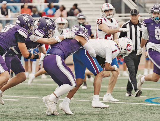 Greyhounds whip Wildcats, face Mules again