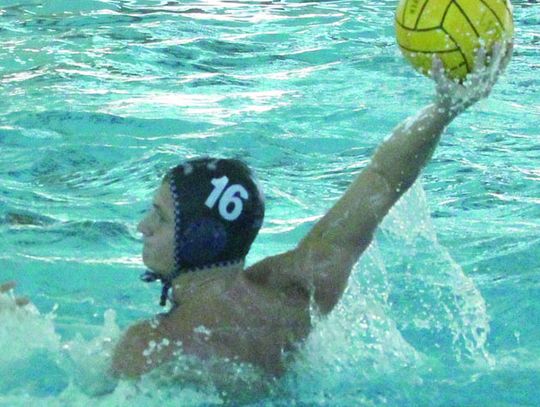 Harrison named All-American in water polo