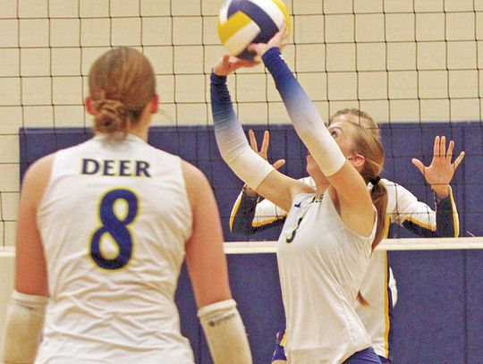 Holliday defeats Comfort Deer in second round