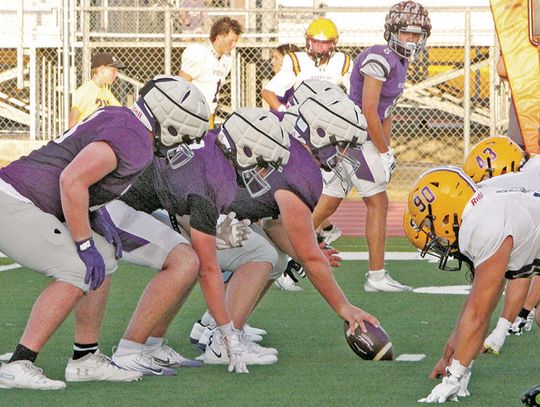Hounds open on the road at Round Rock Westwood