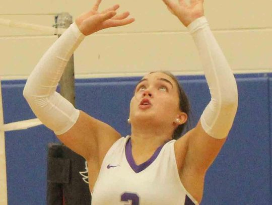 Lady Greyhound volleyball team perfect through first round of district