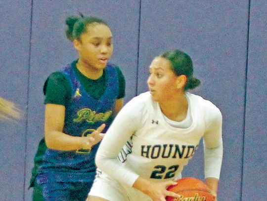 Lady Greyhounds run past Pieper