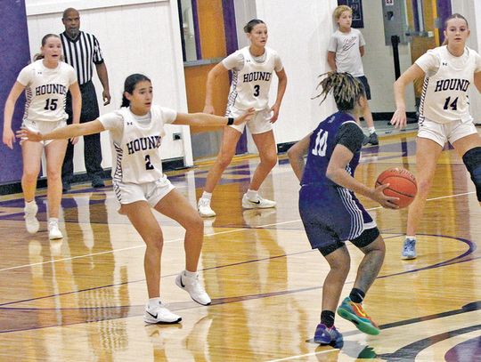 Lady Greyhounds wear down Warriors