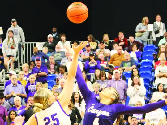 Lady Hounds come up short