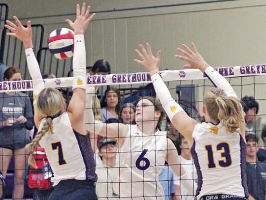 Lady Hounds drop match to Unicorns to end first round of 26-5A action