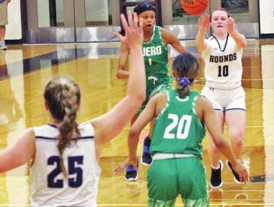 Lady Hounds gobble up Gobblers in playoff opener