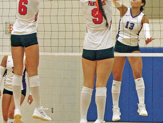 Lady Hounds play at NS/NE volleyball tournament