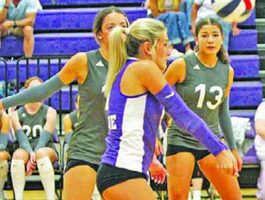Lady Hounds sink South San in straight sets