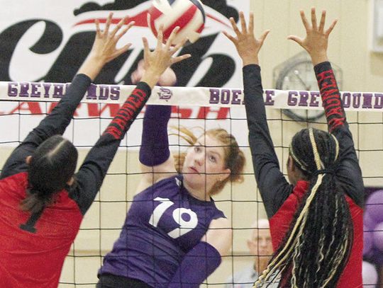 Lady Hounds sweep Veterans Memorial