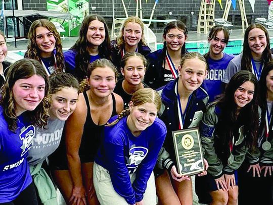 Lady Hounds take 2nd at district swim meet