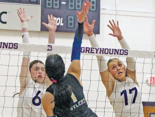 Lady Hounds tripped up by Tivy in volleyball