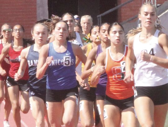 Leader of the Pack!