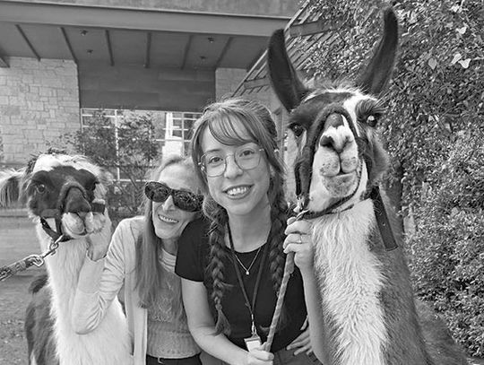 Library: Bearded dragons,valentines, and Chinese New Year Library: Bearded dragons,valentines, and Chinese New Year