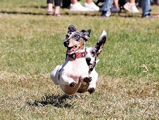 Looking for the finish line