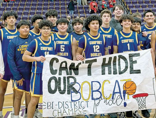 Much too close for Comfort Much too close for Comfort