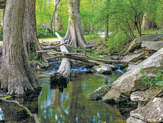 Multifunctional landscapes: One use for everything