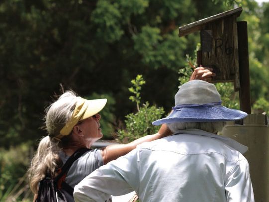 Nest boxes, citizen science: A natural partnership