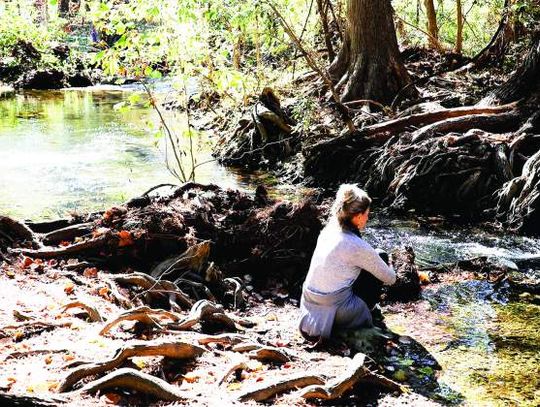 New forest therapy class offered at the Cibolo