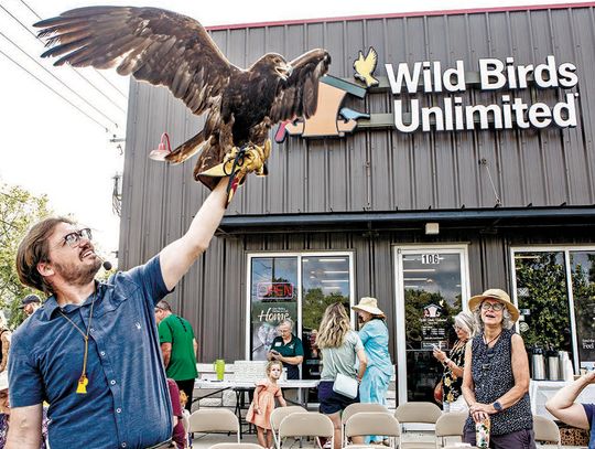 NOT YOUR EVERYDAY WILD BIRD