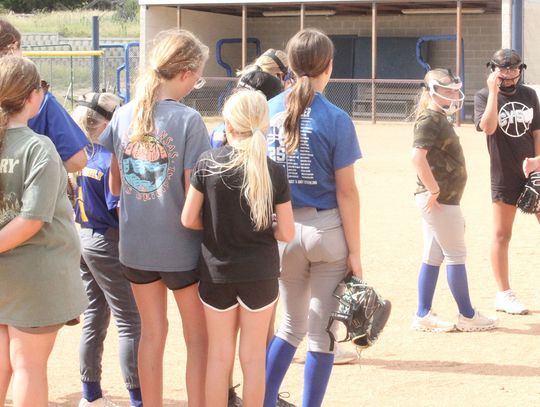 Perkkio hired as new Comfort softball coach