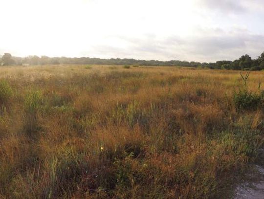 Prescribed burn paying off for Preserve