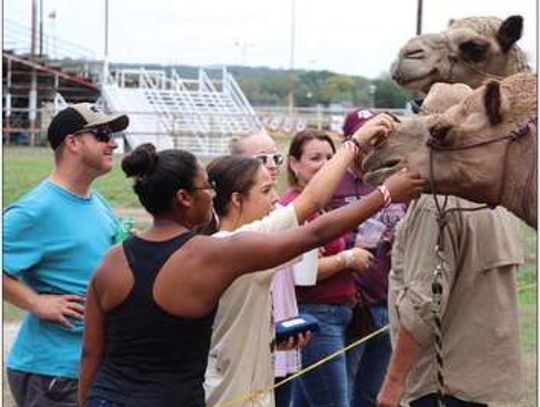 Queen contest Thursday kicks off County Fair weekend