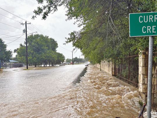 Rapid response during flood spares shelter animals