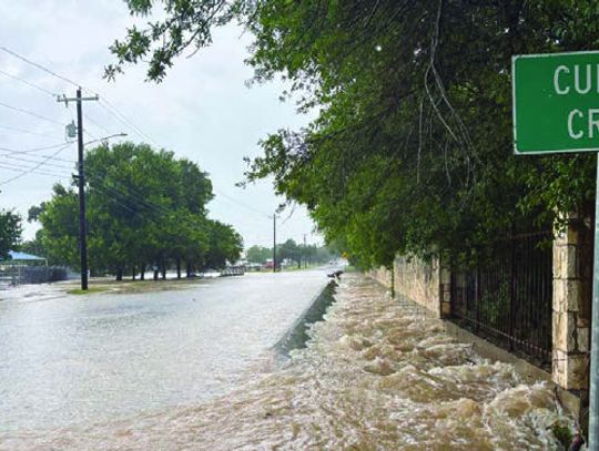 Rapid response during flood spares shelter animals