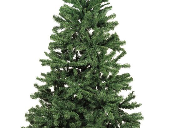 Real or fake: The Christmas tree debate