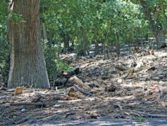 Recovery efforts move into Kendall stretch of Guadalupe
