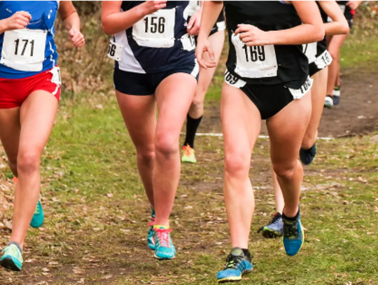 Regional cross-country meet scheduled for Tuesday