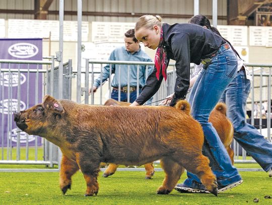 Reserving her best for the judges