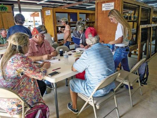 Salsa contest kicks off Sept. 1