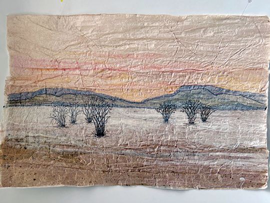 ‘Songs of the Ocotillo’; ‘No Blank Canvas’