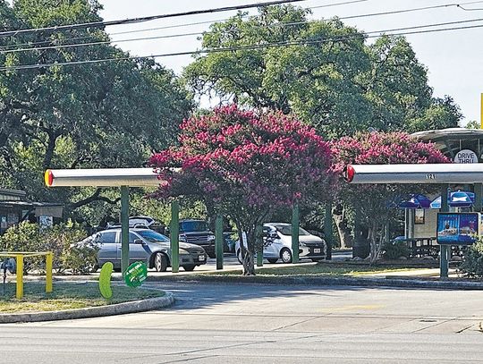 Sonic reopens with rapid response to sink snafu
