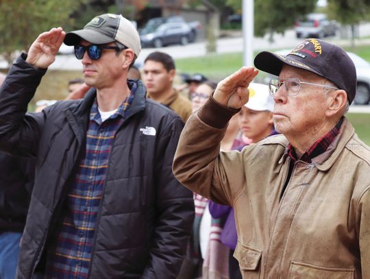 Standing and saluting on Veterans Day