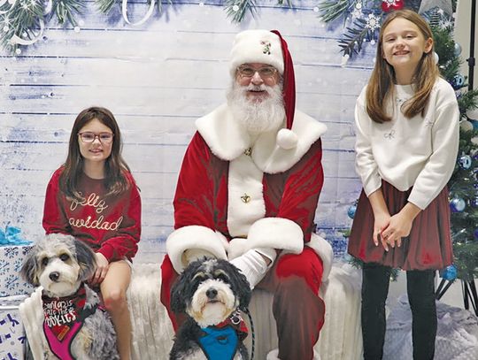 Striking a pose with Santa Paws
