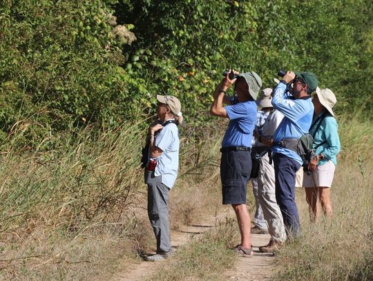 Summer comes alive at The Cibolo -- CIBOLO CENTER FOR CONSERVATI