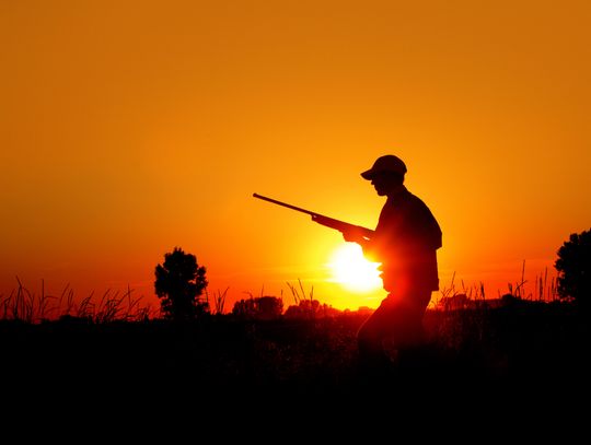 Texas hunters should find strong dove populations