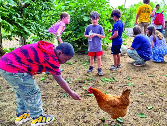 The Cibolo summer camps stress nature, art