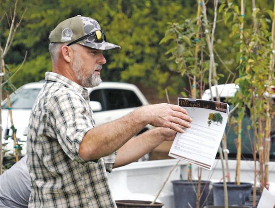 The ‘Free Tree giveaway’ March 6