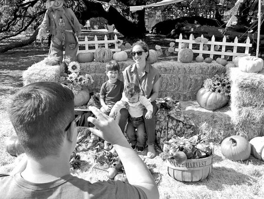 Trip to the pumpkin patch