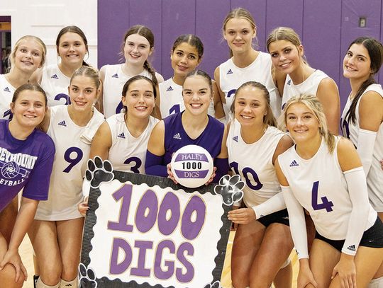 Wheeler records 1,000th dig of Greyhound career