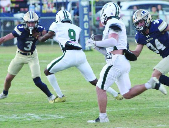 Wildcats win wild one over Eagles, 48-41