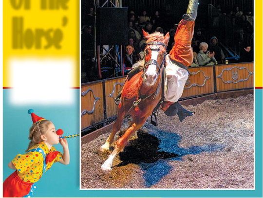 ‘Year Of The Horse’