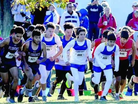 Young Bobcats run at regional x-country meet